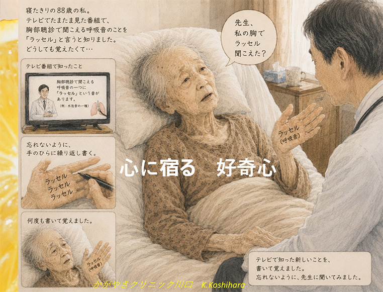 �S�ɏh��@�D��S